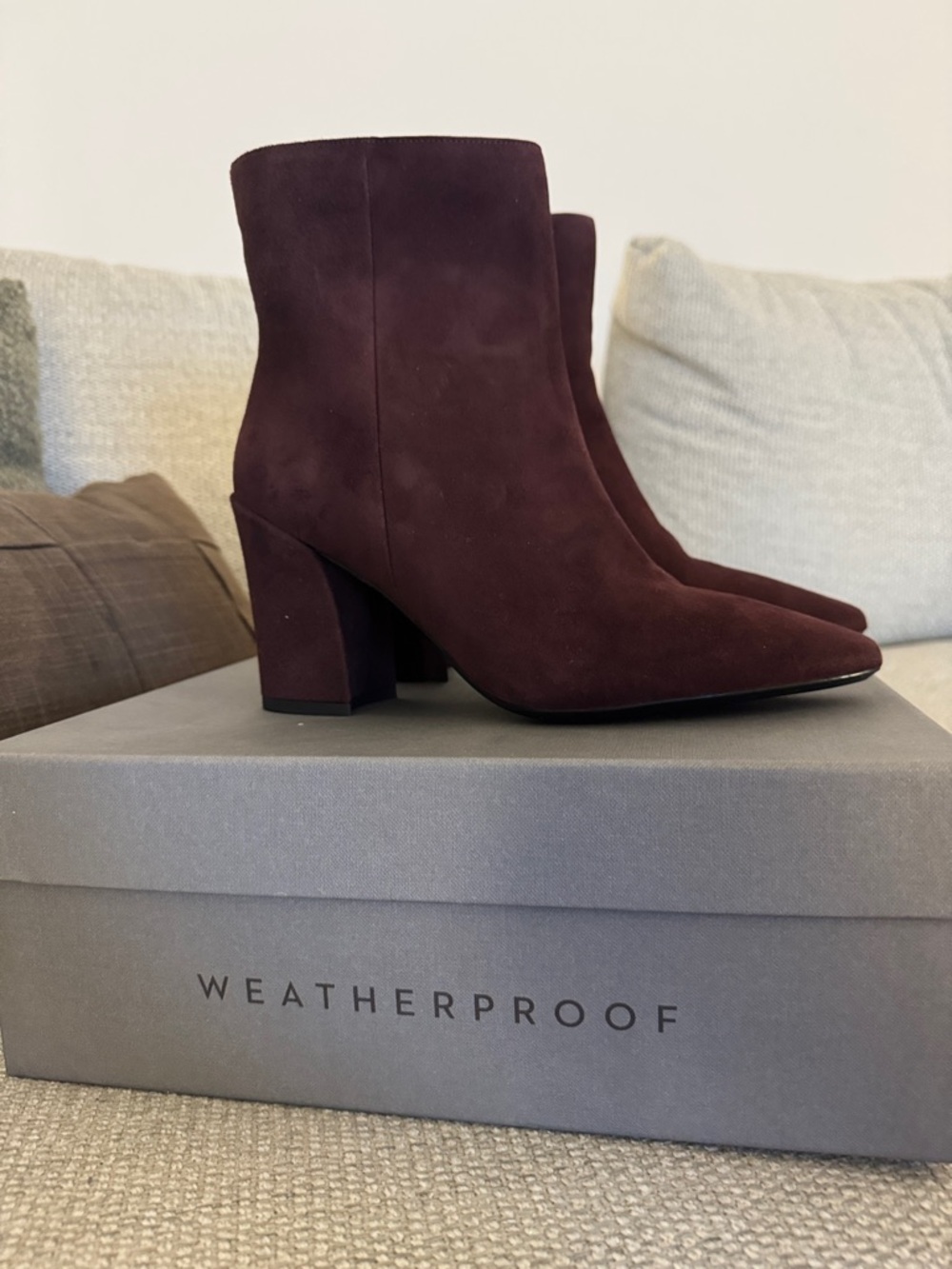 Aquatalia Burgundy Suede Ankle Boots
